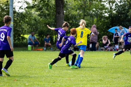 IMG 7156