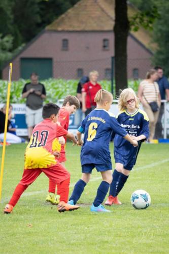 IMG 4293